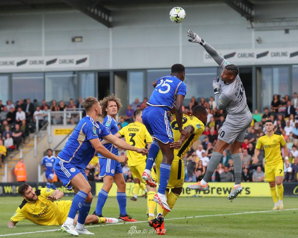 能和心理都 能和心理都